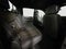 2025 Chevrolet Silverado 3500HD High Country