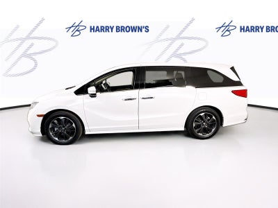 2024 Honda Odyssey Elite